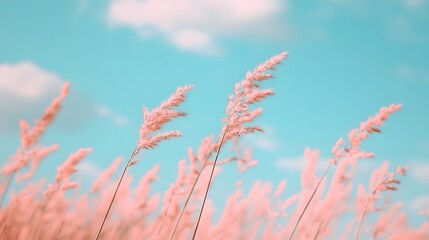 Vibrant Pink Wildflowers Swaying in a Dreamy Nature Landscape with Blue Sky and Fluffy Clouds