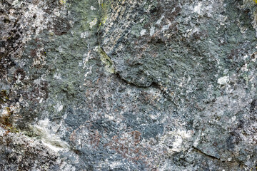 Close-up view of a weathered stone surface displaying intricate textures and earthy tones, highlighting the beauty of nature's craftsmanship.