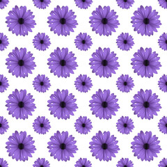 Purple Spring Flowers Seamless Pattern On white background