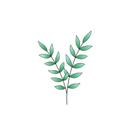 nature branch with leaves