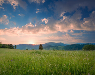 Picturesque scenery of summer green hills under a gorgeous sunset sky with clouds. Wildflowers on a green grass meadow. Carpathian mountains. Ukraine.