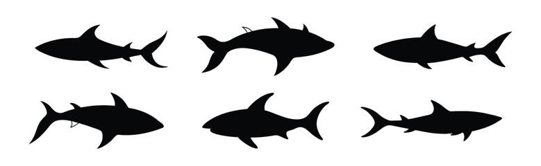 Obraz premium Shark silhouette on a white background.