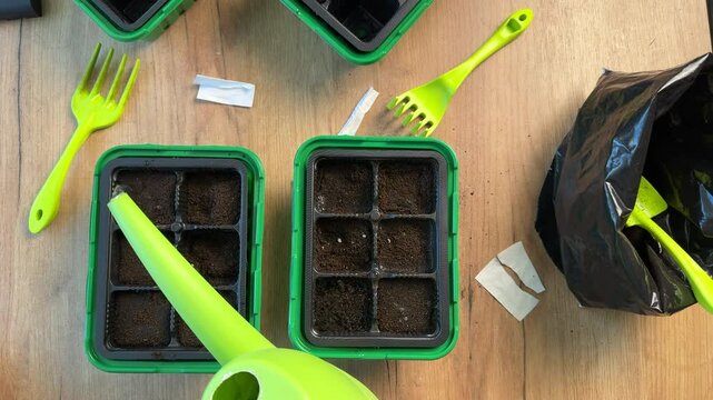 A woman is watering seeds planted in the cells of a plastic container with a watering can. Growing seedlings in mini greenhouses. High-Angle Shot