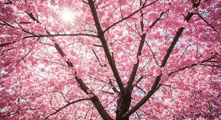 Obraz premium Sunlit Blossom Canopy AI Generated