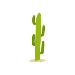 Cactus plant illustration. Flat design vector illustration.