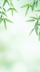 Obraz premium Green bamboo leaves background