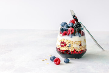 Berry Yogurt Parfait with Oats and Fresh Fruits