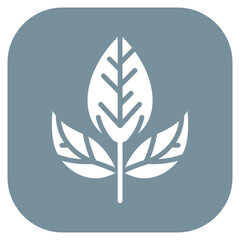 Fototapeta premium Sage Leaves Vector Icon