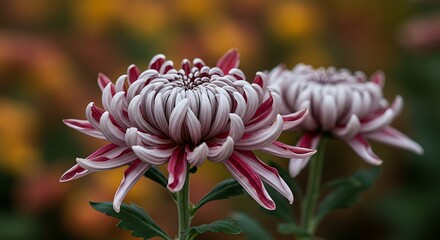 Crimson Whispers in Autumn Light AI Generated