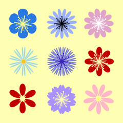 Flowers. Vector beautiful collection of icons, flora symbol, blooming garden.