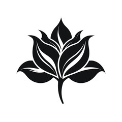 Black and White flower with a white background