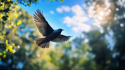 Bird soaring, forest sunlight, nature, freedom, poster