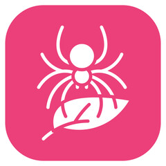 Spider Crawl Vector Icon