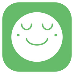 Slightly Smiling Face Vector Icon
