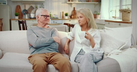 Elderly spouses resting together at home in daytime, chatting and drinking tea. Portrait of 70-years-old man and woman in cozy living room, happy long marriage, mutual understanding and love in couple