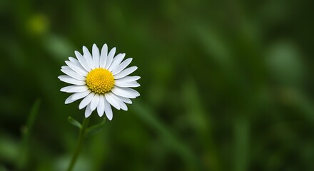 Emerald Embrace AI Generated