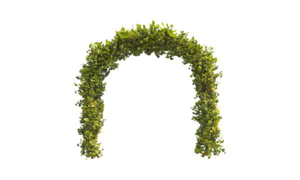 Green arc lantana png alpha channel front view.