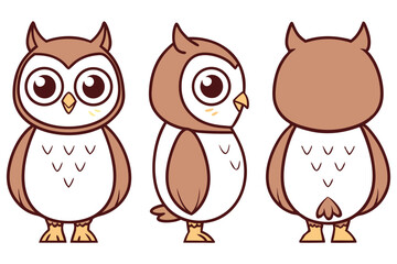 Cartoon Owl Character Set with Front, Side and Back Views