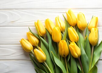 Obraz premium Yellow Tulips Decor on transparent background