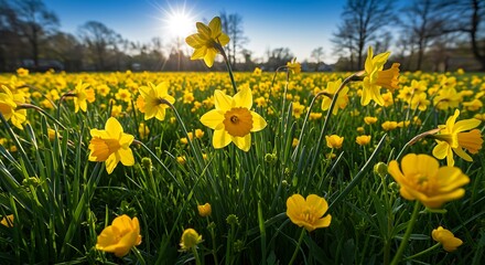 Obraz premium Golden Hour Bloom AI Generated