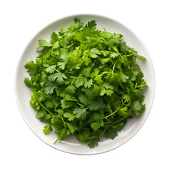 Chopped fresh cilantro in white plate isolated on transparent background