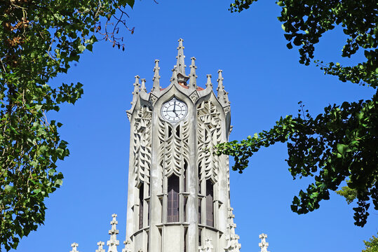 Auckland University Clock Tower framed by trees on a bright blue sky.