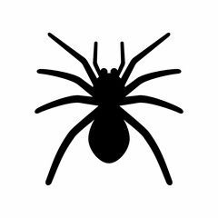 Spider animal silhouette. Design image
