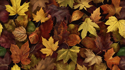 Animated Autumn Leaves – Smooth Seasonal FX with Transparent Background for Overlays