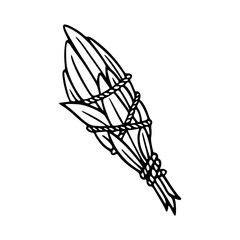 sage smudge stick outline vector