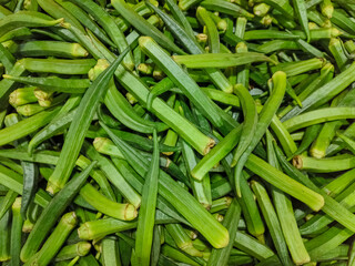 fresh Okra, Baamya (Syriac), Abelmoschus esculentus, lady's fingers, ladies finger is a flowering plant in the mallow family native to East Africa. fresh okra, green okra, ladyfingers. organic foods.