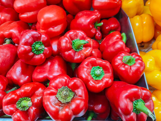 The red, yellow, green bell pepper (also known as sweet pepper, pepper, capsicum or, in some parts of the US midwest, mango) is the fruit of plants in the Grossum Group of the species Capsicum annuum