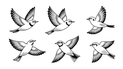 Obraz premium Six black and white illustrations of birds in flight, showcasing different wing positions.