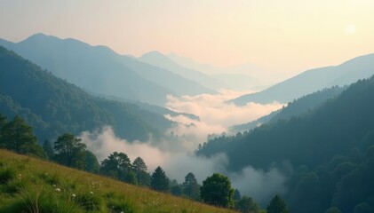 Fototapeta premium Soft white misty veil gently falls on a serene landscape, peaceful scene, gentle fall
