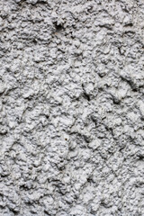 This is a closeup view featuring the intricate texture of a concrete wall