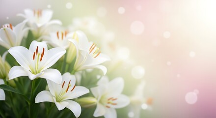 Fototapeta premium Whispers of Dawn Lilies AI Generated