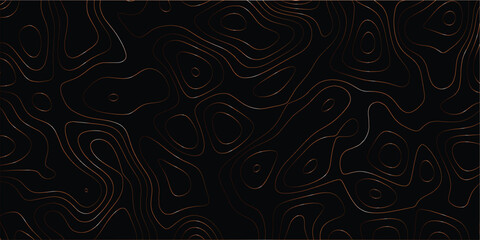 Complex flowing elevation lines forming a topographic abstract seamless design

