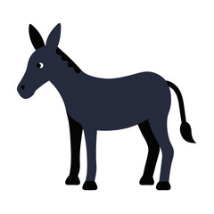 Obraz premium Mule