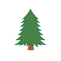 Obraz premium green christmas tree