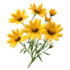 A 3D Vibrant Daisy Plant with Multiple Bright Yellow Flowers Isolated on Transparent Background
