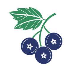 Blueberry Vector art isolated on a white background