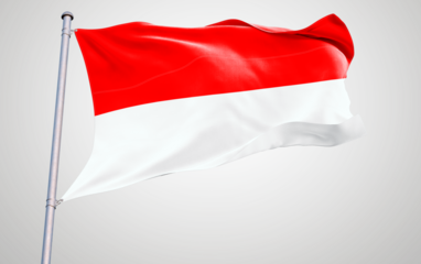 A collection of national flags including indonesia and Poland waving in the wind, showcasing patriotism and symbols of different nations