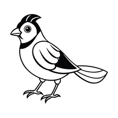 Fototapeta premium vector illustration of a bird line art 