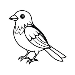 Fototapeta premium vector illustration of a bird line art 