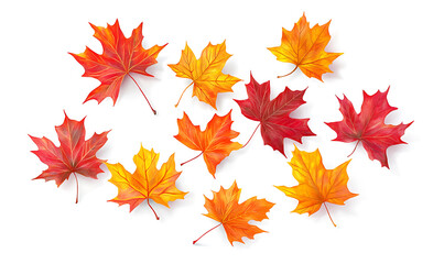 Fototapeta premium illustrations of various trees, leaves, grasses, and botanical elements on white background.