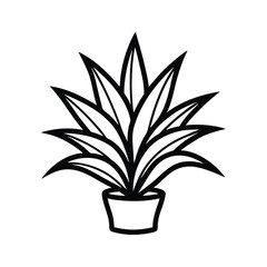 Agave Plant Vector.