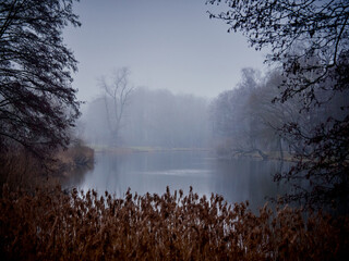 Misty landscapes. River and trees reflected in water.