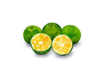 複数のシークヮーサー　手描き水彩イラスト