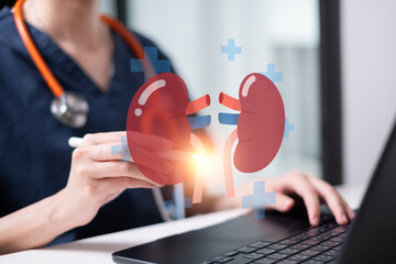 Doctor holding kidney disease health care medicals diagnosis organ donation transplant renal...