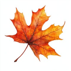 Fototapeta premium Vibrant Orange Maple Leaf Isolated on White Background