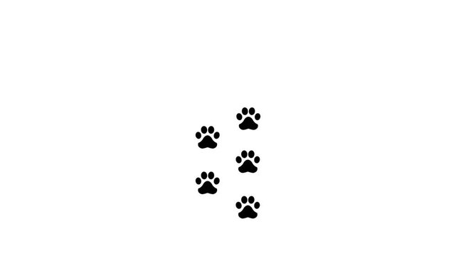 Animal foot print icon on white background .4k motion video
